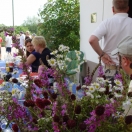 grillen_bctromm_07082010_27