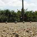 grillen_bctromm_07082010_35